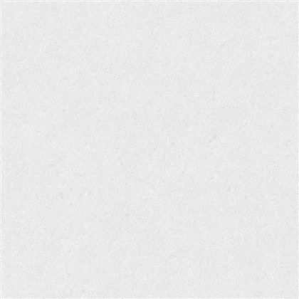 Limestone Oyster White - Rajola de pedra calcària blanca mat